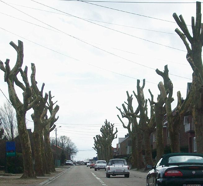 Sfeerbeelden (10).JPG